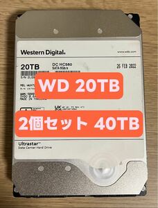 [2個セット 40TB]大容量HDD WD 20TB HDD HC560 3.5インチ 7200rpm 2022年製