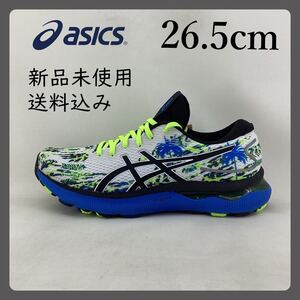 ASICS/GEL-NIMBUS 24/26.5cm/1011B454-100