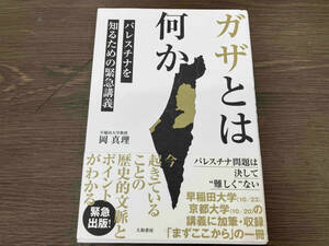 ガザとは何か パレスチナを知るための緊急講義 岡真理