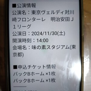 東京ヴェルディ対川崎フロンターレ 明治安田Ｊ１リーグ 2024/11/30(土)開演時刻：14:00 味の素スタジアム(東京都) バックBホーム 2枚セット