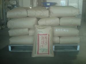 令和６年度　新米　茨城県産　あきだわら　数量限定　農家保有米　30kg　玄米　引き取り限定　農家出品　有機肥料　減農薬　自家栽培