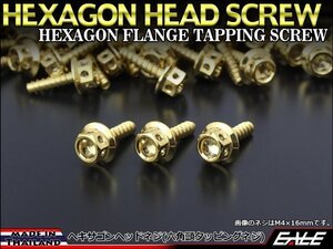 M5×20mm ヘキサゴンヘッドネジ タッピングネジ ステンレス 削り出し 六角頭 フランジ カウルやパネルなどに ゴールド TC0009