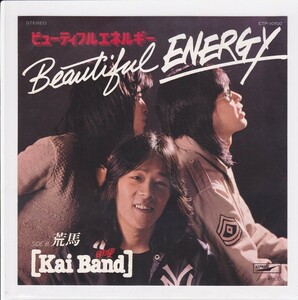 ■中古品■甲斐バンド/beautiful energy + 荒馬(シングル盤)