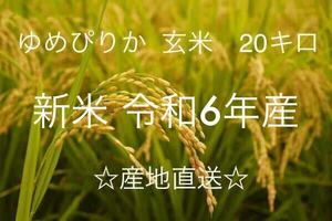 新米産地直送 令和6年北海道産玄米ゆめぴりか 20kg送料込み 数量限定