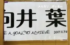 乃木坂46 向井葉月 推しメンマフラータオル 46時間TV 東京ドーム