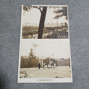 戦前絵葉書 天理教教廰發行 天理養徳院 天理託兒所 古写真 アンティーク コレクション