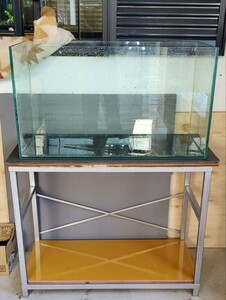 GEX900フレームレスオールガラス水槽