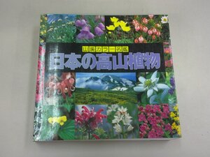 山渓カラー名鑑　日本の高山植物　山と渓谷社