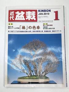 盆栽総合誌 月刊 近代盆栽 2010年 1月号 近代出版【z91049】