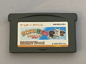 GBA ゲームボーイアドバンス かわいい仔犬ミニ　わんこと遊ぼう　小型犬