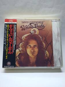 DAVID COVERDALE/WHITESNAKE/NORTHWINDS/デイヴィッド・カヴァーデイル/ホワイトスネイク＋ノースウインズ/国内盤CD/帯付/2枚組仕様/廃盤