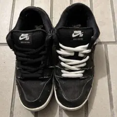 NIKE SB×Wasted Youth DUNK LOW