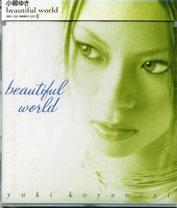 新品 送料無料 小柳ゆき beautiful world