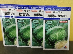 キャベツ種　初夏のかほり　1,1ml×4袋　未開封有効期限切れ