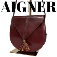 AIGNER アイグナー　ショルダーバッグ レザー　タッセル アクセサリーポーチ