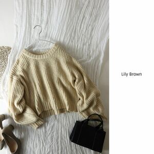 リリーブラウン Lily Brown☆オーバーサイズ ボリューム袖クルーネックニット フリーサイズ☆C-K 5104