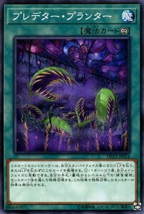 遊戯王カード プレデター・プランター ノーマル レジェンドデュエリスト編5 DP22 デュエリストパック 永続魔法 ノーマル