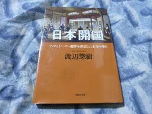 日本開国 アメリカがペリー艦隊を派遣した本当の理由　渡辺惣樹　草思社文庫