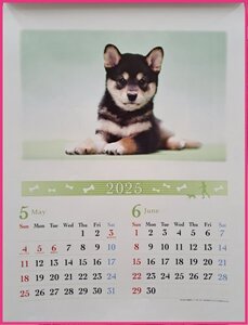 【送料無料：１冊：可愛い 「子犬」：大きい カレンダー：B3:52x36cm】★2025年：犬・いぬ・イヌ★仔犬 壁掛け：コー No422