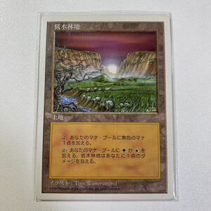 低木林地　日本語　MTG 5ED