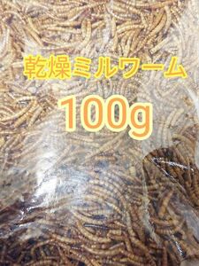 乾燥ミルワーム100g ハムスター フクロモモンガ ハリネズミ 小動物 爬虫類 鳥 トカゲ カエル ドライミルワーム