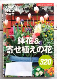 鉢花&寄せ植えの花　320 　主婦の友ベストBOOKS