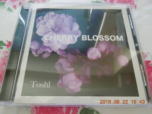 「CHERRY BLOSSOM」 Toshl CD 直筆サイン入り / X JAPAN Toshi