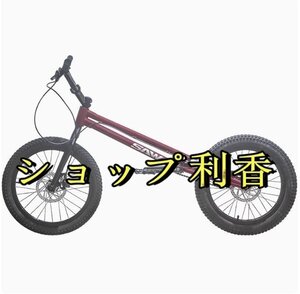 24インチ スタント用自転車 BMX 自転車 大人用 フロントおよびリアブレーキ付き Crmoフレームとフォーク パープル