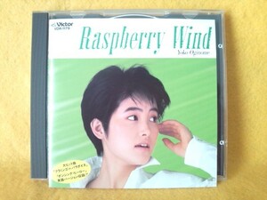 荻野目洋子 ラズベリーの風 ダンシング・ヒーロー Eat You Up フラミンゴ in パラダイス Yoko Oginome VDR-1179 CD Raspberry Wind 