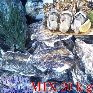 牡蠣 殻付き 牡蠣 送料無料 ２０ｋg（目安200粒） ＭＩＸ 冷凍便 牡蠣 殻付き殻付き牡蠣 殻付き 殻付 カキ 加熱用 牡蛎 かき　松島牡蠣屋