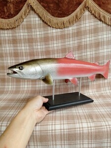 ハンドメイド　46cmイトウ婚姻色　フィギュア レプリカ　魚模型　釣り　怪魚　 置物　フィッシュカービング