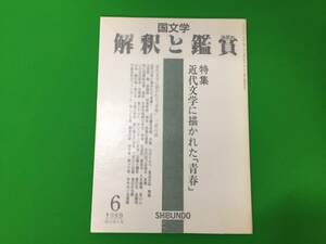 A13-22yo　【特集＝近代文学に描かれた青春 】国文学 解釈と鑑賞/至文堂/1986年6月号/