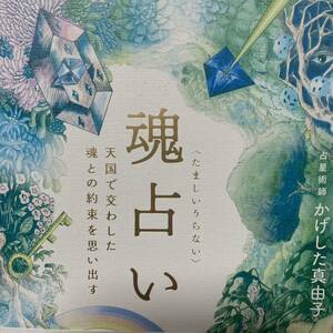 魂占い　天国で交わした魂との約束を思い出す かげした真由子／著