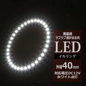 黒基板 イクラリング/イカリング ホワイト 40mm SMD LED OZ231