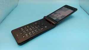 K758 docomo FOMA P-01E Panasonic ガラケー/ケータイ/パナソニック 簡易動作確認＆簡易清掃＆初期化OK 判定○ 現状品 送料無料　