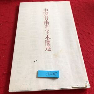 S6b-069 中国甘粛新出土木簡選 目次不明 毎日新聞社 1995年発行 歴史 シルクロード 鑑賞 臨書 図録 敦煌簡 李斯 玉門花海出土 など