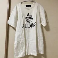 ALDIES ロゴTシャツ　Mサイズ