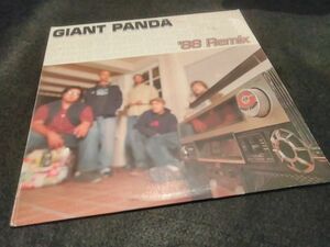 Giant Panda - 