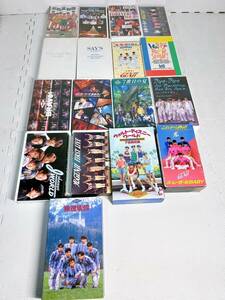 ★ビデオテープ17本セット VHS 光GENJI ジャニーズ 素顔になって スペシャル ワールド ファースト ライブ ウォルトディズニー 7日間の旅