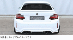 HAMANN ハーマン BMW 2シリーズ F87 リアウイングレット