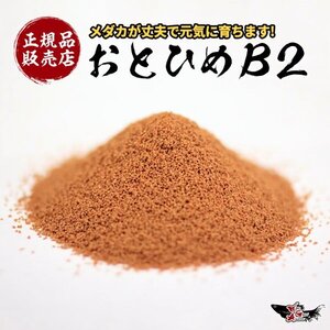 【500g】メダカの餌 おとひめB2【送料無料】正規品販売店 日清丸紅飼料 めだか ゾウリムシ ミジンコ PSBと同梱包可 生クロレラ同梱不可