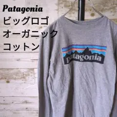 【436】PatagoniaパタゴニアオーガニックコットンロンTシャツ