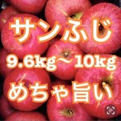 朝もぎ新鮮りんご 10kg 看板商品 サンふじ