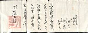 韮山県 関係史料(古文書) 明治三年(1870)／廃藩置県 武州多摩郡 江川英武 御嶽村 青梅 飢饉 凶作【23-1214-1】