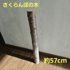 自然木材 円柱形 樹皮付き 木 枝 さくらんぼ DIY ハンドメイド