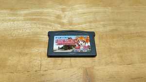 ★GBA「お花屋さん物語GBA いやし系お花屋さん育成ゲーム」ソフトのみ/ゲームボーイアドバンス/TDKコア/ADV/レトロゲーム★