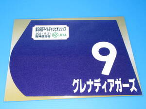 匿名送料無料 ★第38回 マイルCS GⅠ グレナディアガーズ ミニゼッケン 18×25センチ ☆JRA 阪神競馬場 限定販売★2021.11.21 即決！ウマ娘