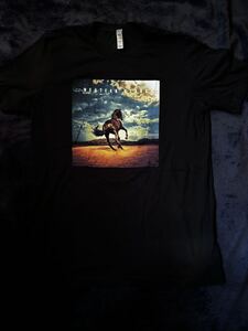 BRUCE SPRINGSTEEN ブルース・スプリングスティーン Tシャツ Lサイズ ウエスタン・スターズWestern Stars