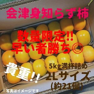 【値下げ!!】会津身知らず柿　みしらず柿　柿　2Lサイズ5キロ満杯詰め