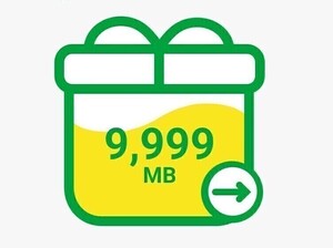 mineo マイネオ パケットギフト 約10GB 9999MB